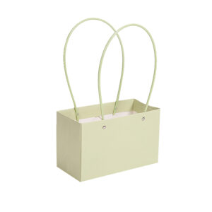 BOX-SR-R089 Virágtáska füles - 10 darab/csomag [22cm x 11cm x 14cm] világoszöld